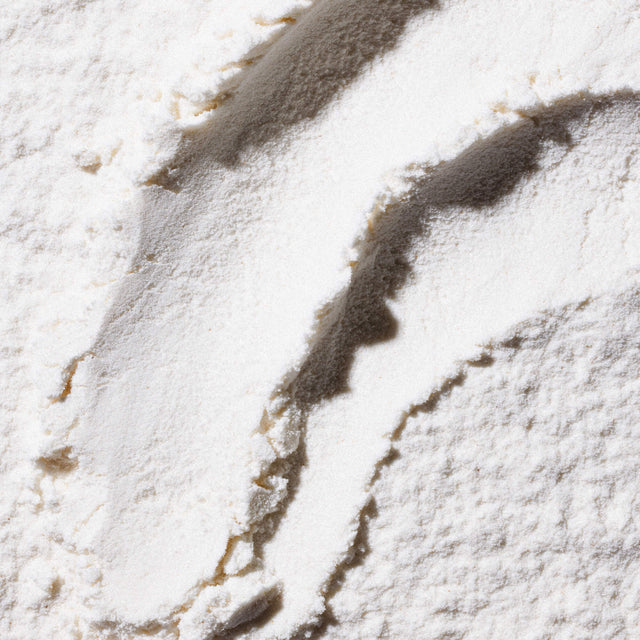 Native Pet Senior Daily for Dogs - LCarnitine+CoQ10 Ingredient