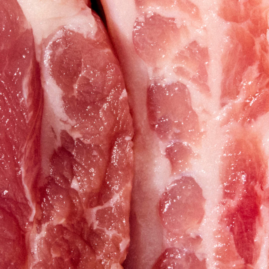 Pork Plasma