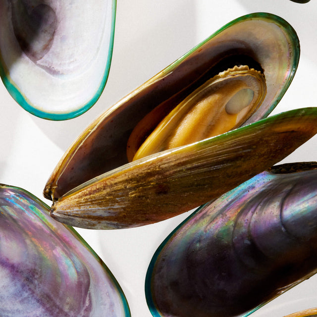 Native Pet Senior Daily for Dogs - Taurine Ingredient