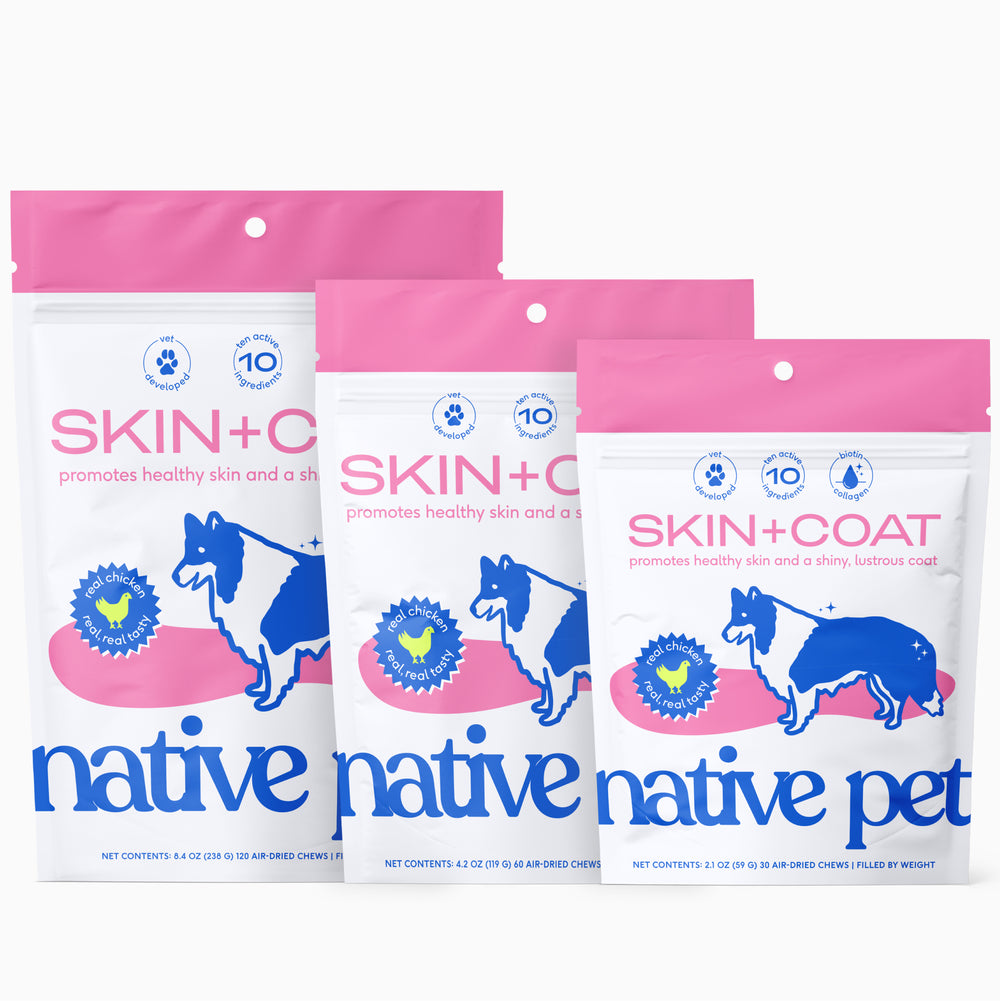 SKIN+COAT CHEWS