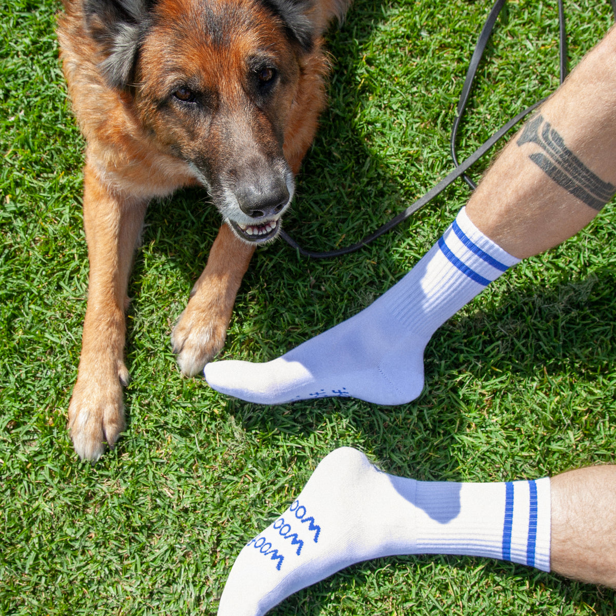 Native Pet Woof Socks