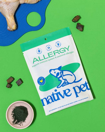 Native pet allergy chews pouch with 60 air dried chews with a bright green background