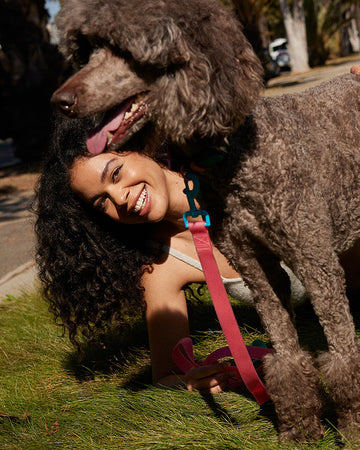 woman and her grey poodle laying in the grass