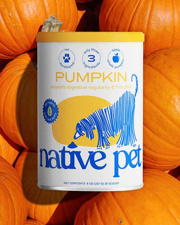 Native Pet Pumpkin Powder with pumpkins in the background