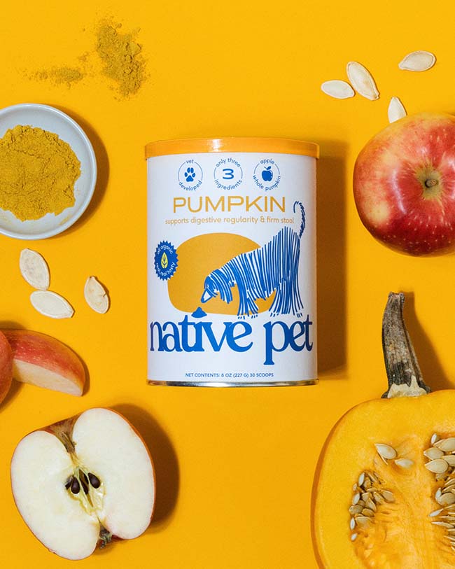 Pumpkin powder canister on an orange background with a bowl of pumpkin powder, apples, pumpkin next to it