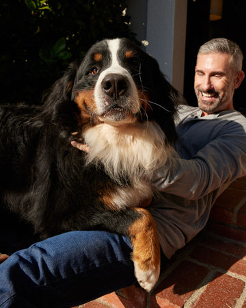 man holding his bernese mountain dog