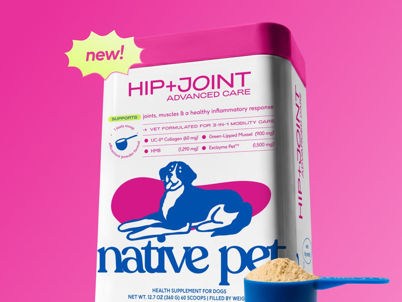Native Pet