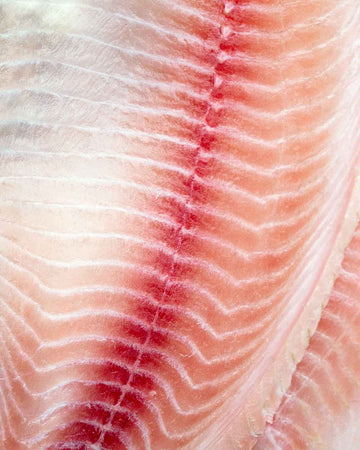 Close up of raw salmon