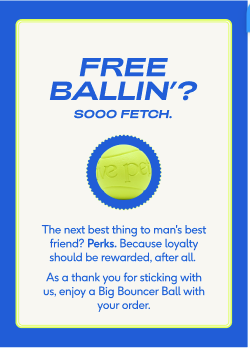 Big Bouncer Subscription Gift Insert Card