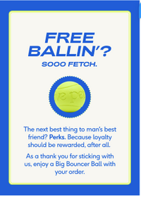 Big Bouncer Subscription Gift Insert Card