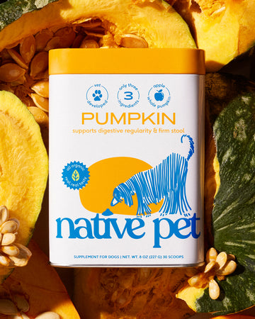 PUMPKIN – Native Pet