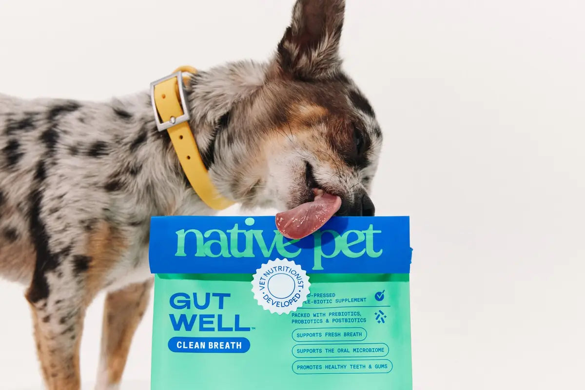 Dog beside Native Pet Clean Breath