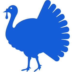 Turkey Broth